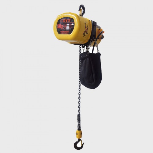 Coyo type electric hoist