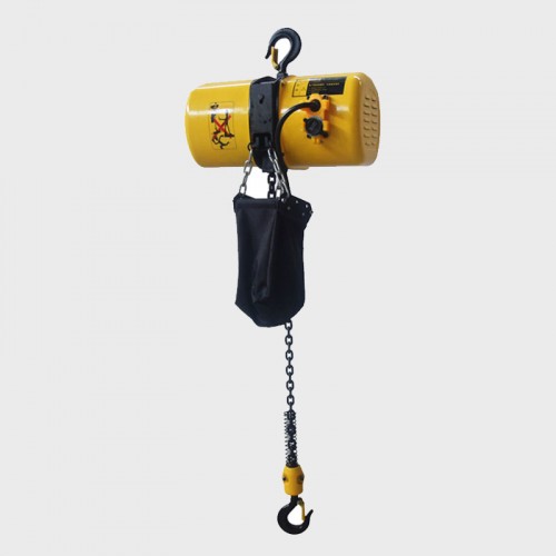 Coyo type electric hoist