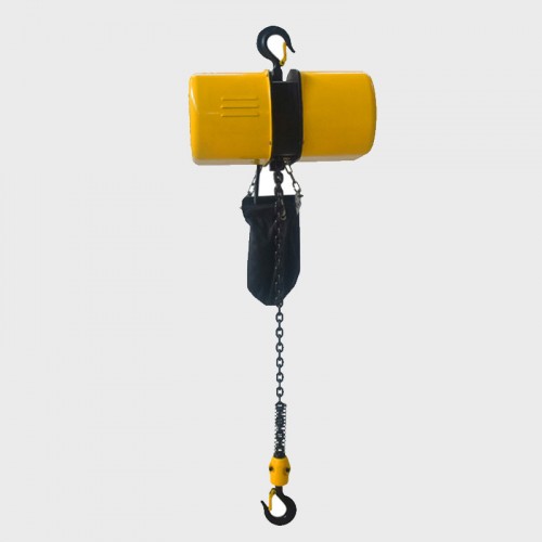 Coyo type electric hoist