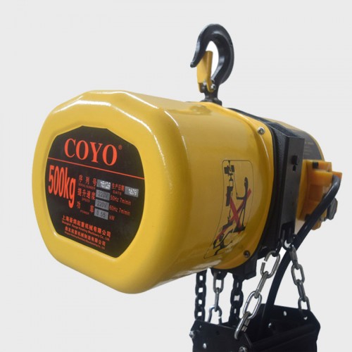 Coyo type electric hoist