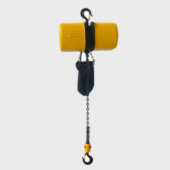 Coyo type electric hoist