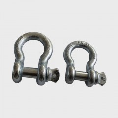 Bow Shackle