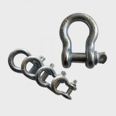 Bow Shackle