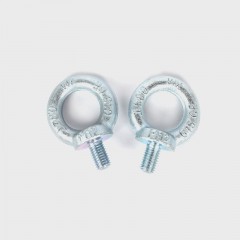 Ring Eye Lifting Screw